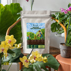 Urvichar™'s Biochar Soil Enhancer