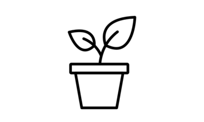 Black line drawing of a potted plant on a white background