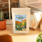 Cactus & Succulents Potting Soil