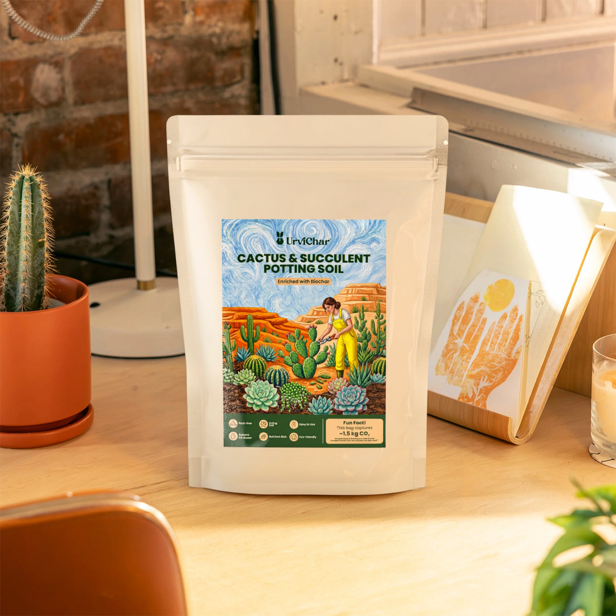 Cactus & Succulents Potting Soil
