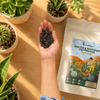 Cactus & Succulents Potting Soil