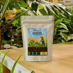 Houseplant Potting Soil