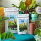 Houseplant Potting Soil