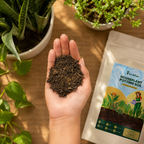 Houseplant Potting Soil