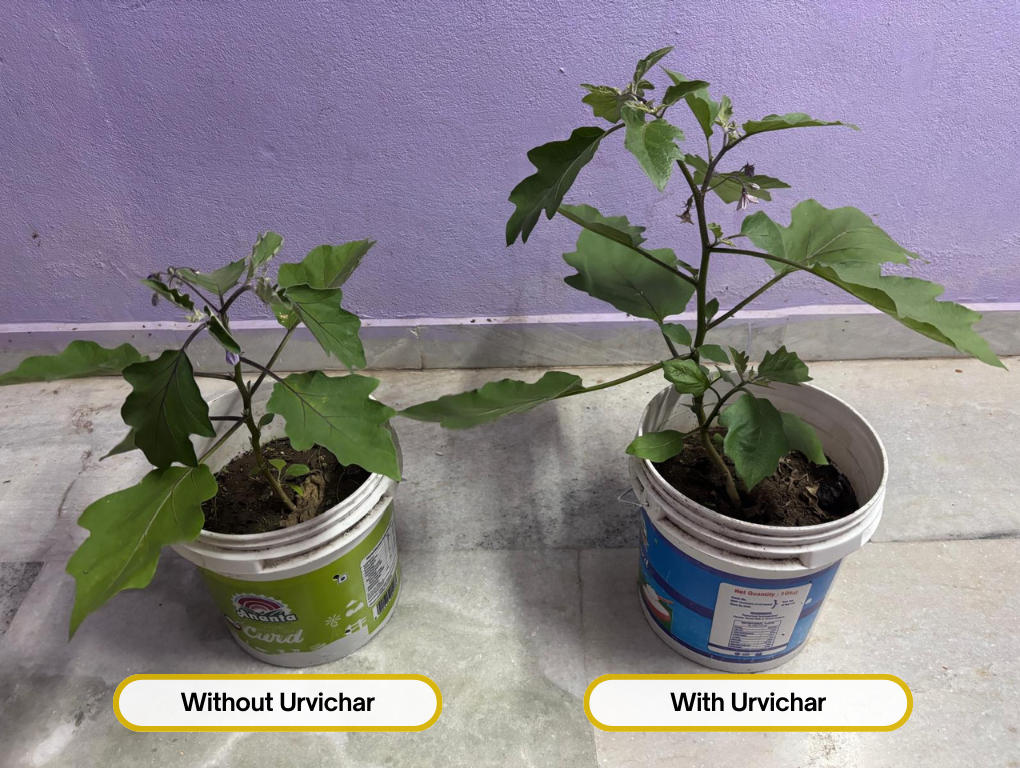 Urvichar™'s Biochar Soil Enhancer