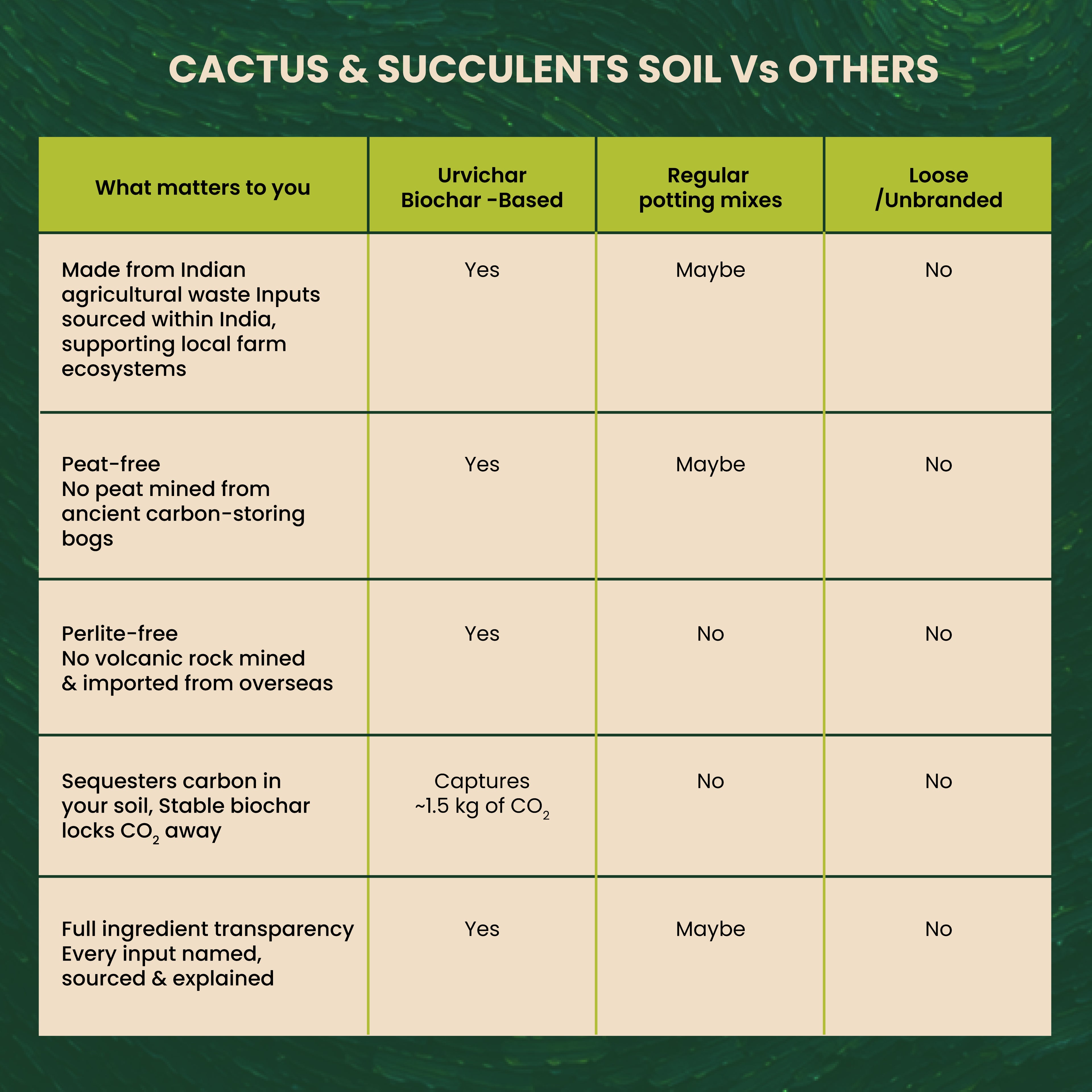 Cactus & Succulents Potting Soil