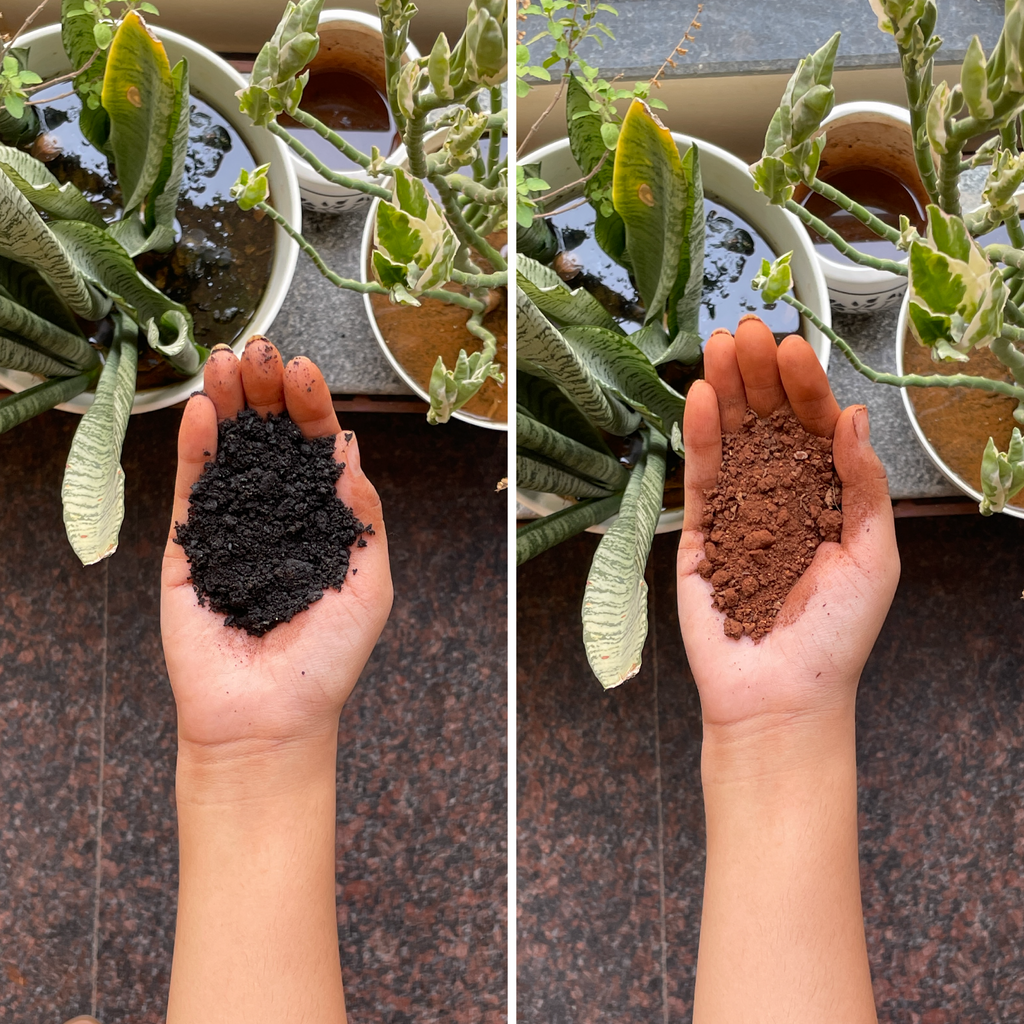 Urvichar™'s Biochar Soil Enhancer