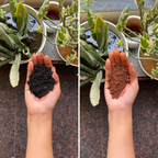 Urvichar™'s Biochar Soil Enhancer