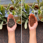 Houseplant Potting Soil