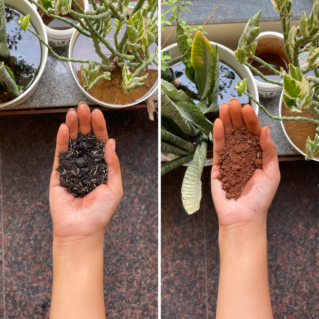 Kitchen Garden Potting Soil