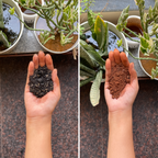 Kitchen Garden Potting Soil