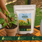 Houseplant Potting Soil