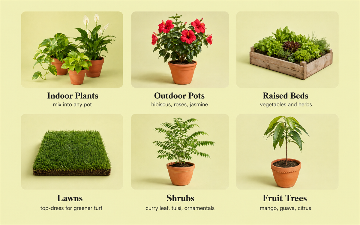 Plants for Urvichar™'s Biochar Soil Enhancer