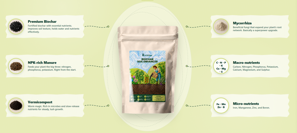 What's inside Urvichar™'s Biochar Soil Enhancer